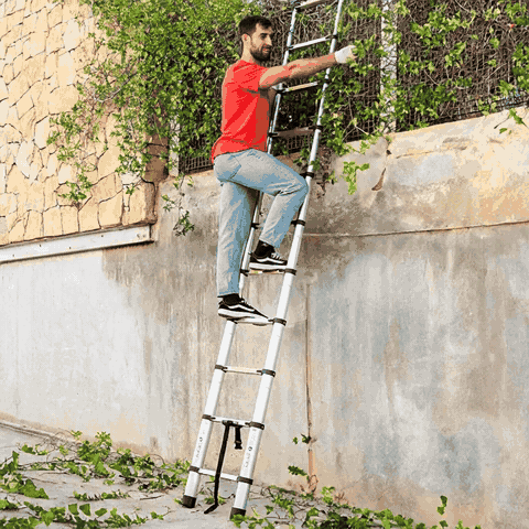 Llega donde ninguna escalera llega